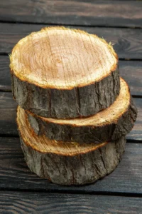 Stacked mango wood logs with visible growth rings and natural bark texture